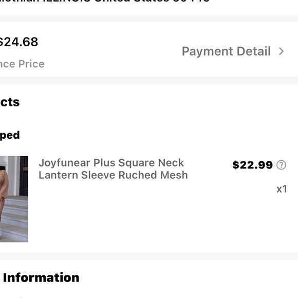 Elegant Tan Dress with Sheer Sleeves - Picture 5 of 5